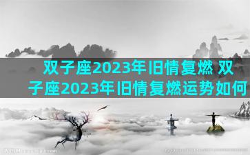 双子座2023年旧情复燃 双子座2023年旧情复燃运势如何